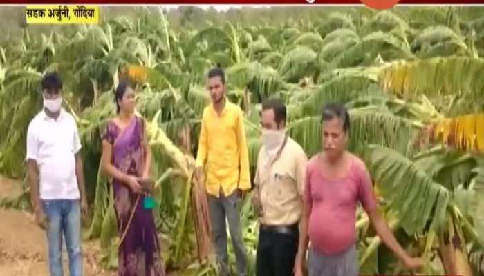 Gondiya Crops Destroyed In Pre Monsoon Showers