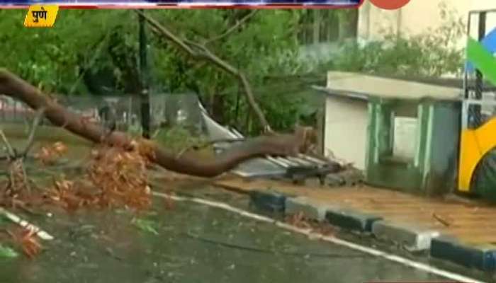 Pune Tree Fall From Strong Wind Blowing From Cyclone Nisarga
