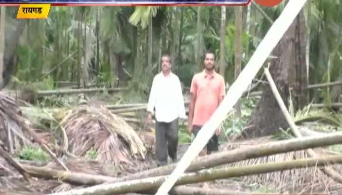 Raigad Farms Near Costal Area Completed Destroyed From Nisarga Cyclone