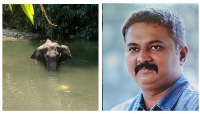 केरळ हत्तीण : 'जलसमाधी' घेण्यामागचं काय असेल कारण? सांगतायत हत्ती अभ्यासक आनंद शिंदे 