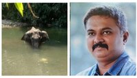 केरळ हत्तीण : 'जलसमाधी' घेण्यामागचं काय असेल कारण? सांगतायत हत्ती अभ्यासक आनंद शिंदे