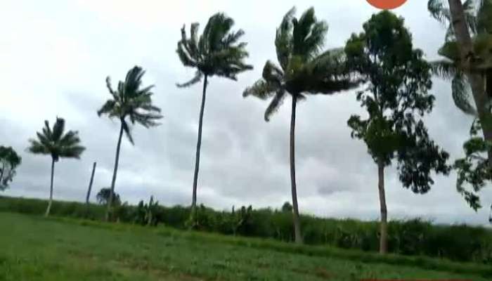 Pune,Junner Farmer Loss Due To Nisarga Cyclone