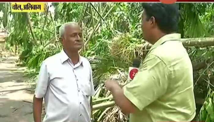 Alibaug,Chaul Farmer Loss In Nisarga Cyclone