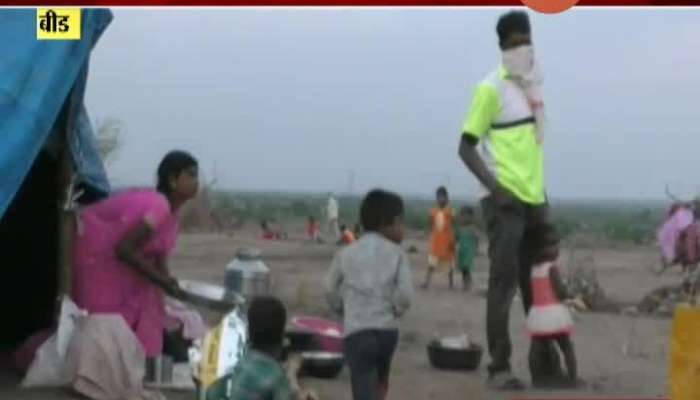 Beed No Migrant Sugarcane Workers Infected In Corona Pandemic