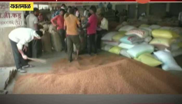 Yavatmal Farmers In Problem As Crops Not Getting Sold For Upcoming Kharif Crop Sowing
