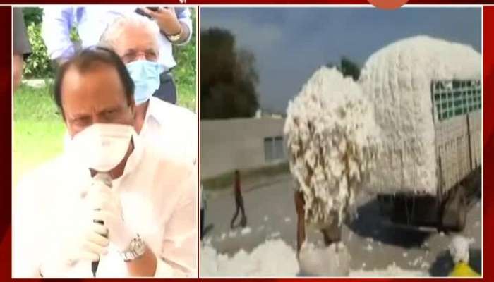 DCM Ajit Pawar On Buying All Cotton From Farmers Till September