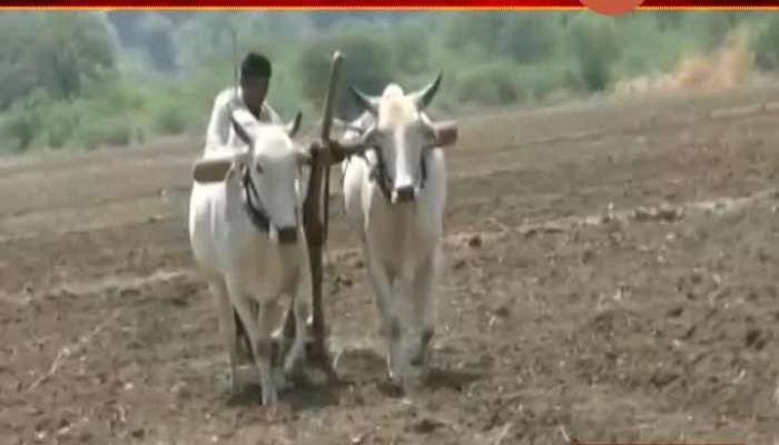Chandrapur Farmers In Preparation For The New Season