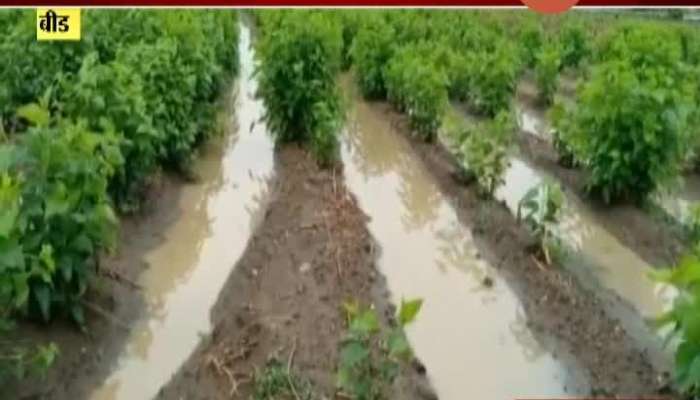  Heavy Rain In Beed District