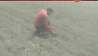 बियाणे कंपन्यांना भरपाई घ्यावी लागणार 