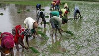 राज्यातील अकरा लाखाहून अधिक शेतकर्‍यांना जुलै अखेरपर्यंत मिळणार कर्जमाफी 