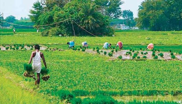 सेंद्रिय शेती, पूरक व्यवसाय : राज्यातील महिला शेतकऱ्यांसाठी आज ऑनलाईन प्रशिक्षण