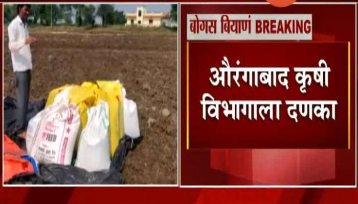  Aurangabad Bench Of Bombay High Court On Fake Seeds Controversy