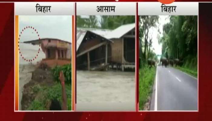 North India Affected From Heavy Rainfall