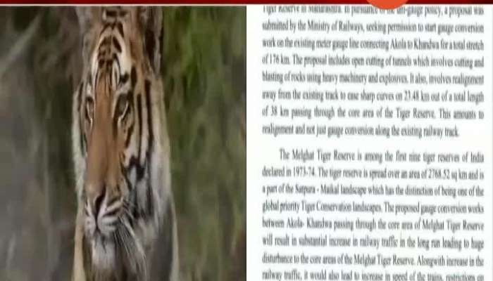 Maharashtra Government Oppose Railway Gauge Conversion In Tiger Reserve