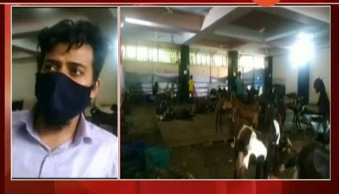 Mumbai Goat Business Owners On Sale Of Goats For Bakri Eid