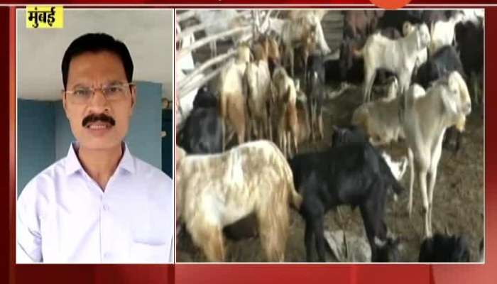 Bala Saheb Thorat And Nawab Malik On Bakri Eid Update