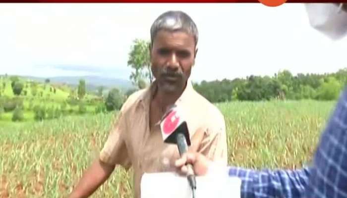 No Rain In Kolhapur Farmers Face Trouble Update 