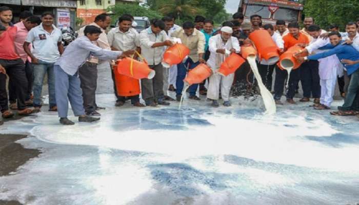 १ ऑगस्टला दूध उत्पादकांचा राज्यव्यापी एल्गार 