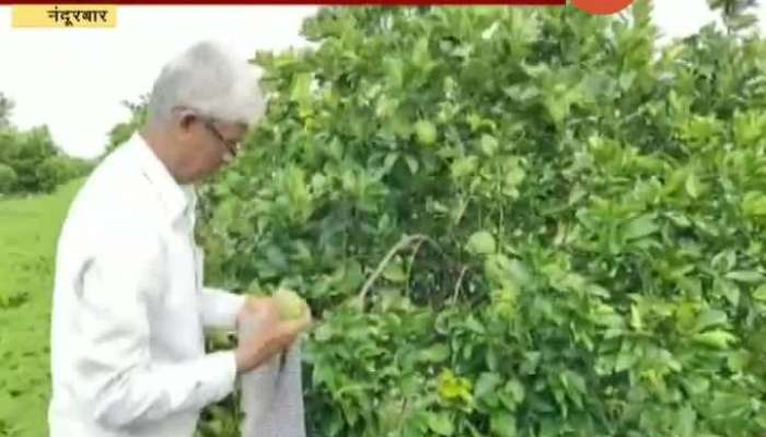 Nandurbar Ganesh Patil An Experimental Farmer Getting Good Income From Farming