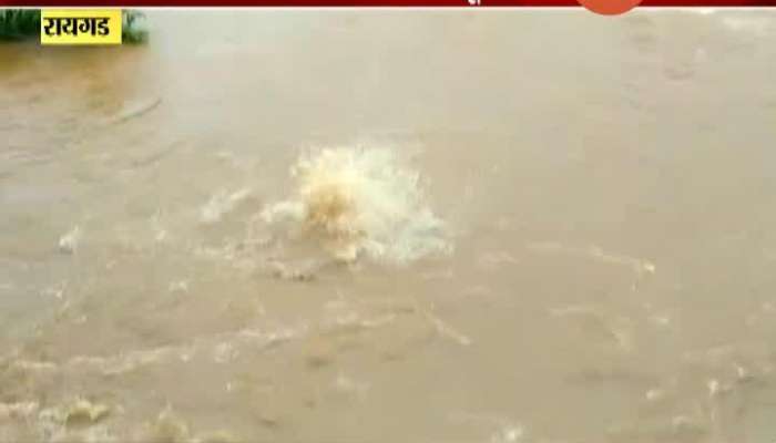 Raigad Youngsters Drown In River Update