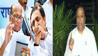 '...म्हणून भाजप आमदार संपर्कात असल्याची राष्ट्रवादीची अफवा', शेलारांचा निशाणा