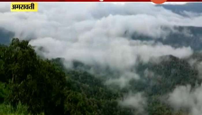 Amravati Due To Rain The Beauty Of Chikhaldara Dam Became More Open