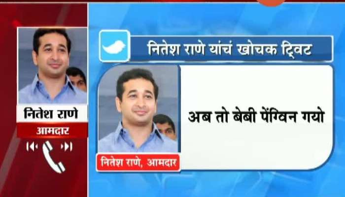 New Delhi SSR_s Case Will Be Investigated By CBI MLA Nitesh Rane Phono Reaction