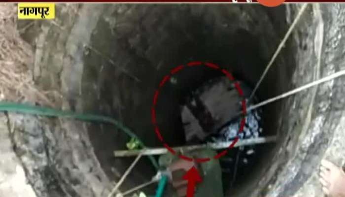 Nagpur Three Workers Died In Attempt To Remove Dead Rat From Well