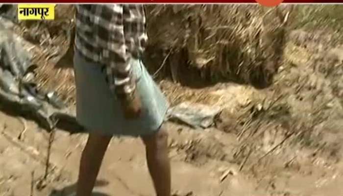 Nagpur,Kanhan Farmer Loss In Flood