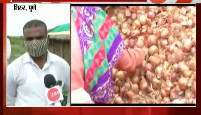 Pune Shirur Farmers Reaction On Ban On Onion Export