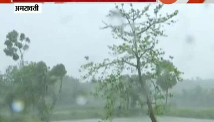 Heavy Rain In Amravati Farmers Suffer Loss