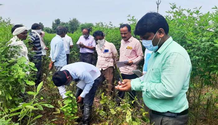 केंद्रीय पथकाने ६ तासातच उरकला नुकसान पाहणी दौरा, शेतकरी नाराज 