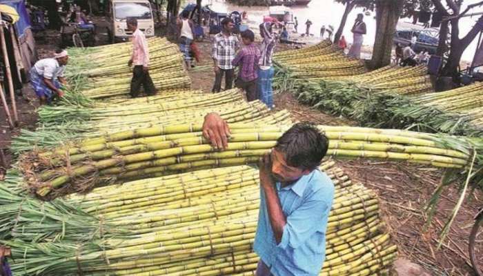 साखर संघ आणि ऊस तोडणी संघटनांच्या सरकारकडे 'या' मागण्या 