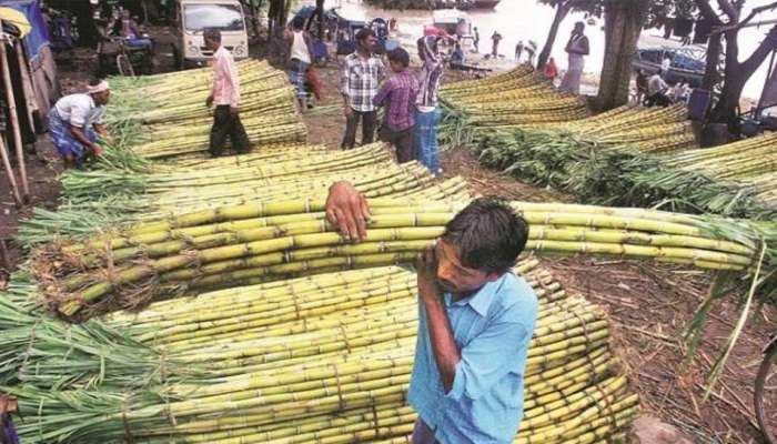 साखर संघ आणि ऊस तोडणी संघटनांच्या सरकारकडे &#039;या&#039; मागण्या 