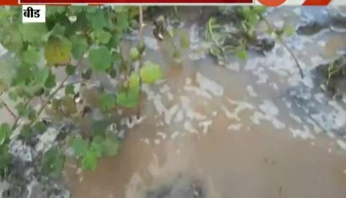 Beed Heavy Rain Farmers Suffer Loss