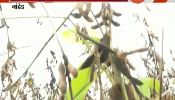 Nanded Farmers In Problem From Damage Caused Due To Heavy Rainfall