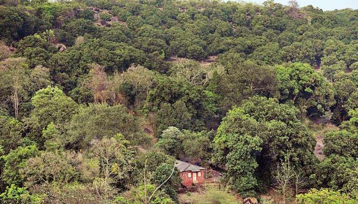 नाणार जमीन खरेदी प्रकरणी चौकशी होणार, विधानसभा अध्यक्षांचे आदेश