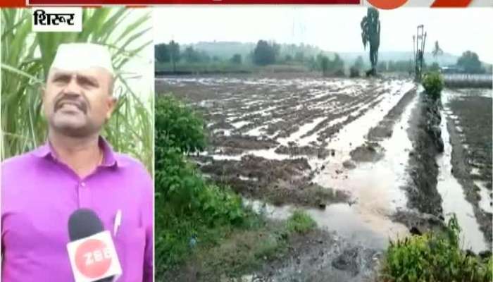 Shirur Fruits Farm Farmers In Problem From Fruits Farm Destroyed From Heavy Rainfall