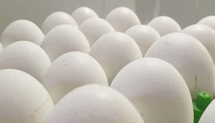 कोरोनाचा फटका : अंड्याच्या दरात वाढ 