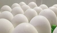 कोरोनाचा फटका : अंड्याच्या दरात वाढ 