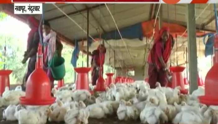 Nandurbar Womens Came Together And Started Poultry Farm