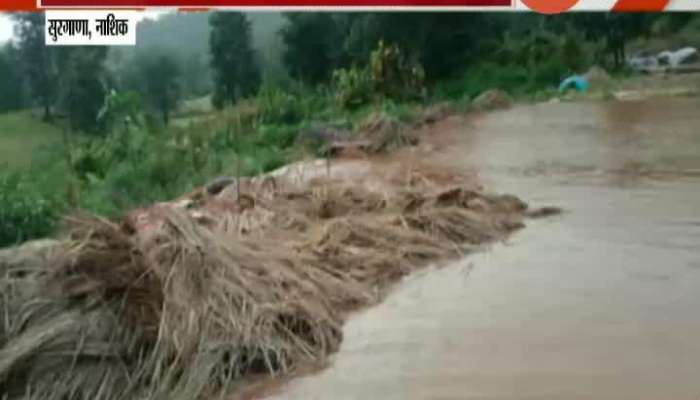 Nashik Farmers In Problem From Heavy Rainfall As All Crops Destroyed