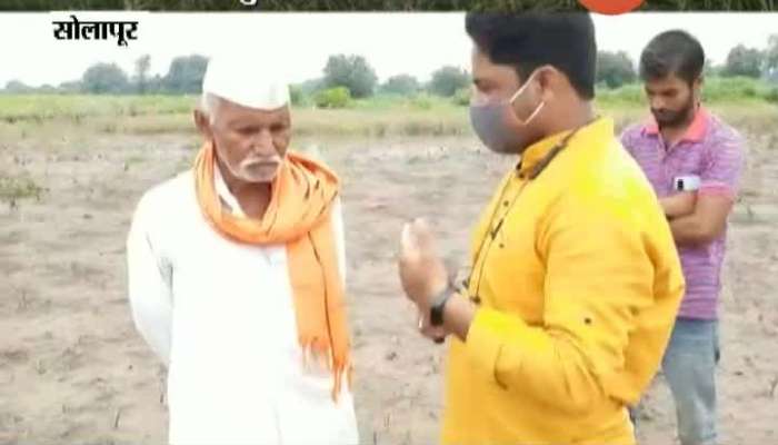 Solapur Farmers Not Satisfied With State Government Financial Help
