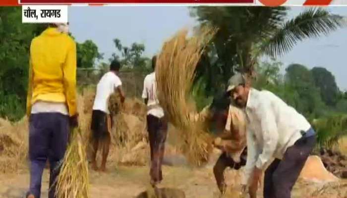  Raigad Farmers Waiting For Help From Government