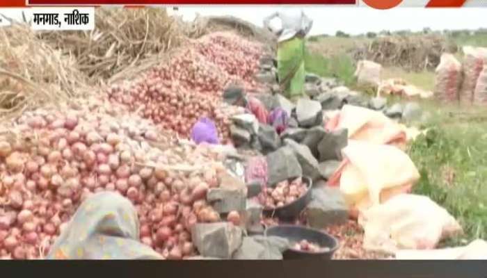 Nashik Onion Producing Farmers In Confusion After Onion Traders Stop Auction