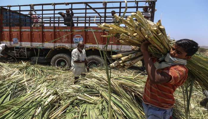 पुण्यात ऊसतोड कामगार, वाहतूकदारांच्या मागण्यांबाबत बैठक 