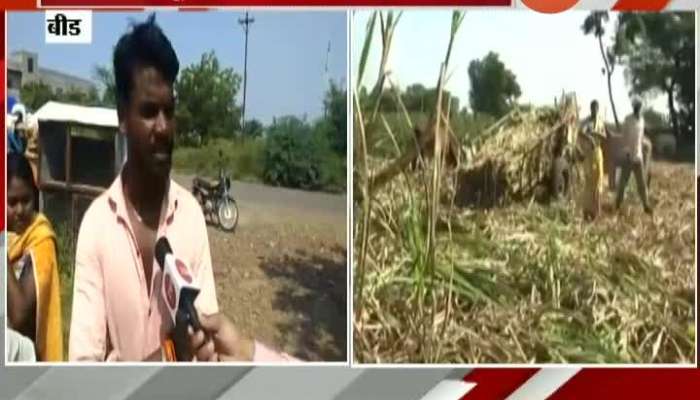 Beed Sugarcane Workers Not Happy From Decision Of 14 Percent Hike
