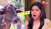 अक्का आणणार देवाच्या आयुष्यात आणखी एक डॉली??