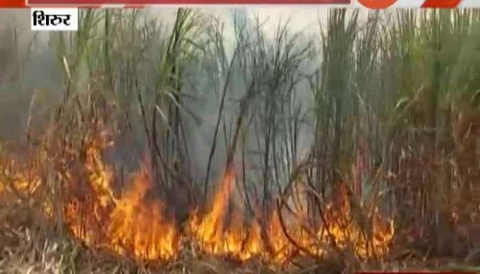 Pune Shirur Fire At Sugarcane Farm Of 3 Acre From