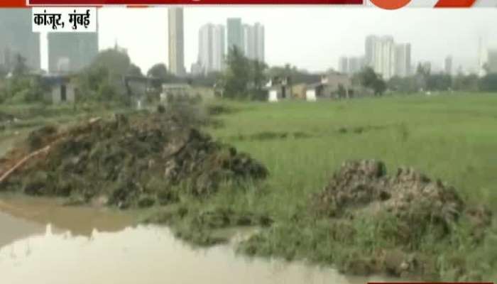 Mumbai Kanjurmarg Ground Report Of Metro Carshed Land Controversy